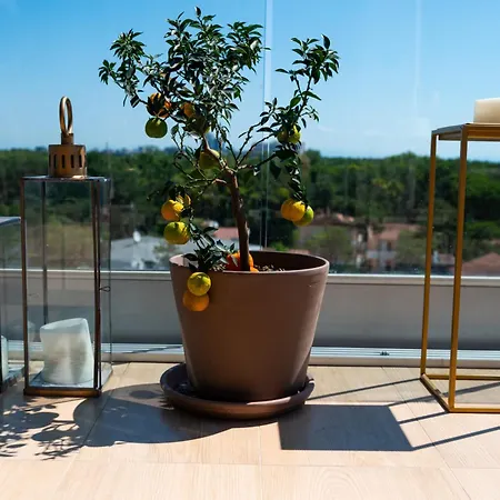 Attico Esclusivo A 300m Dal Mare